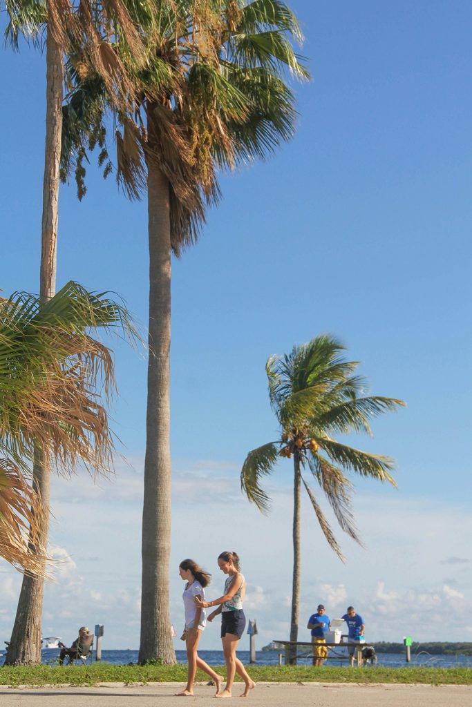 Two people walking by palm trees near waterfront.