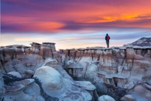 Unusual desert landscapes in Bisti badlands, De-na-zin wilderness area, New Mexico, USA